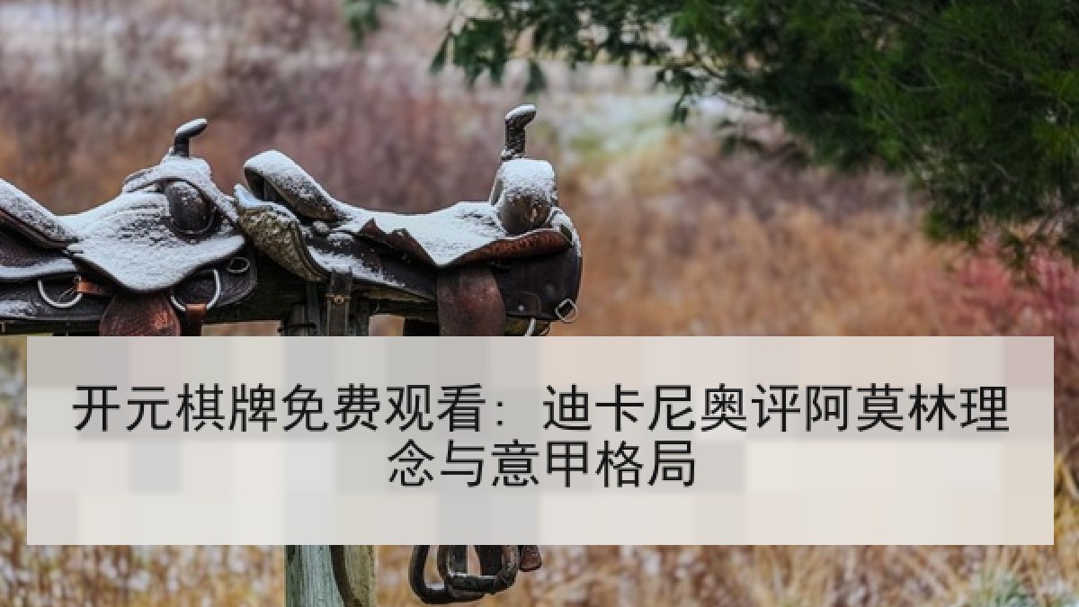 开元棋牌免费观看: 迪卡尼奥评阿莫林理念与意甲格局