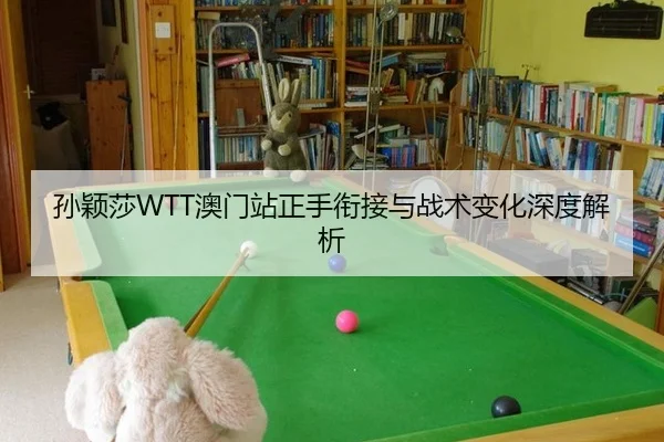 孙颖莎WTT澳门站正手衔接与战术变化深度解析