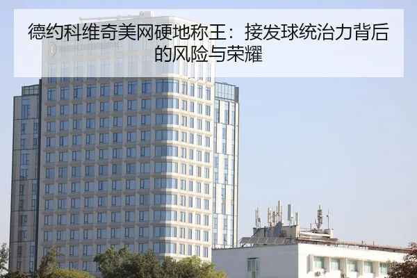 de-yue-ke-wei-qi-mei-wang-ying-di-cheng-wang-jie-fa-qiu-tong-zhi-li-bei-hou-de-feng-xian-yu-rong-yao-2-613.jpg